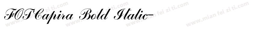 FOTCapira Bold Italic字体转换